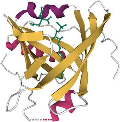 Apolipoprotein M—A Marker or an Active Player in Type II Diabetes?